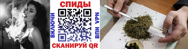 что такое   Трубчевск  Бутират буратино 
