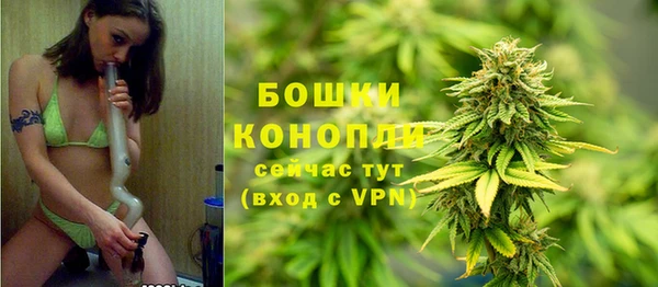 хмурый Осинники
