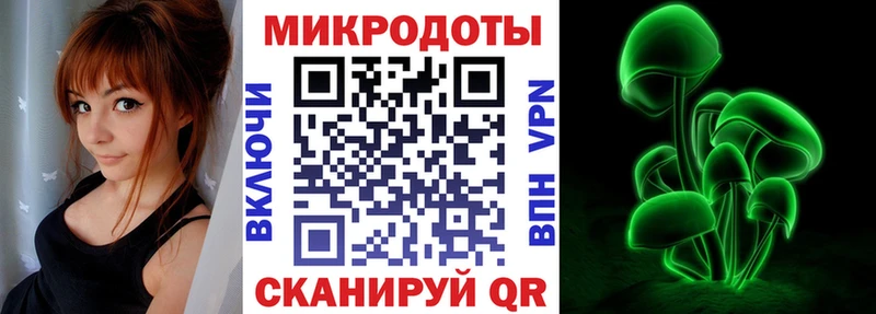 Псилоцибиновые грибы Psilocybe Трубчевск